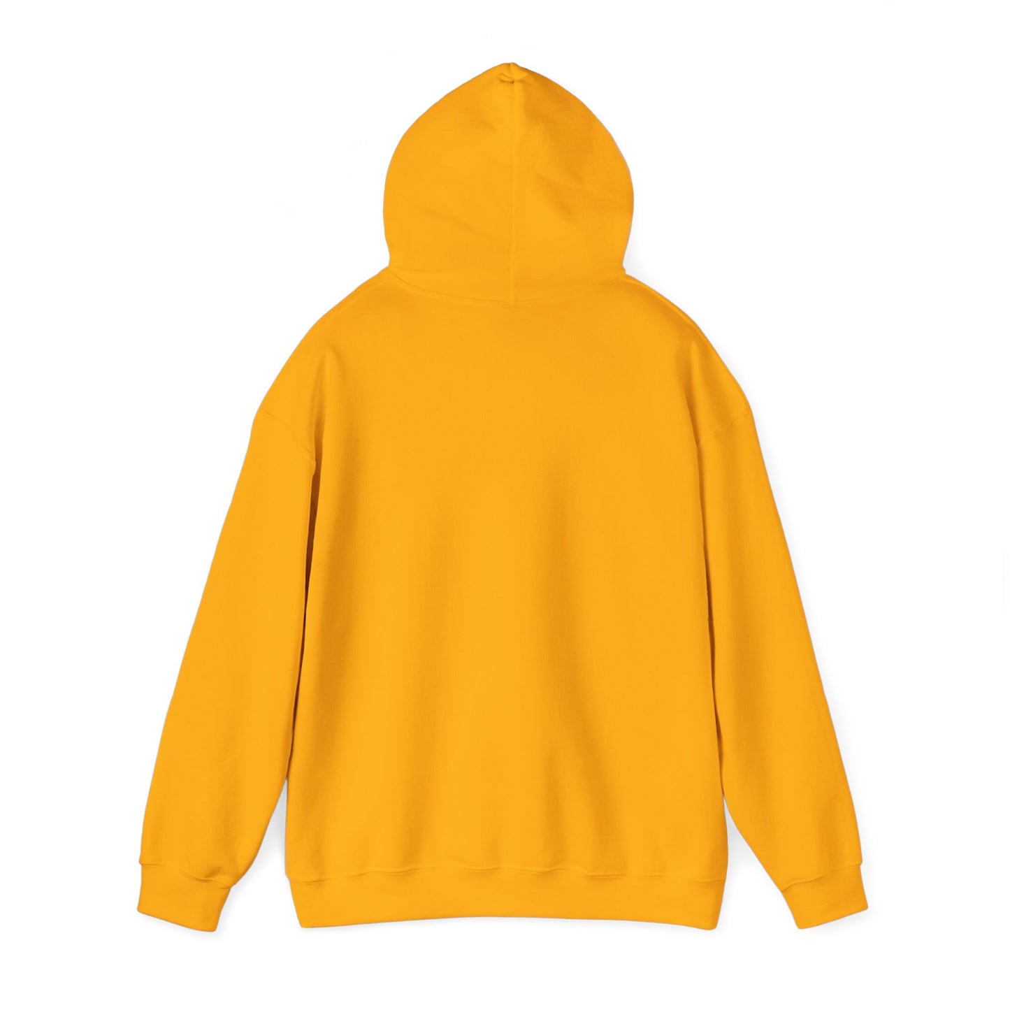 Sushi Lovers-Cute Panda Eating Noodles Unisex Hoodie – Cozy & Fun Design