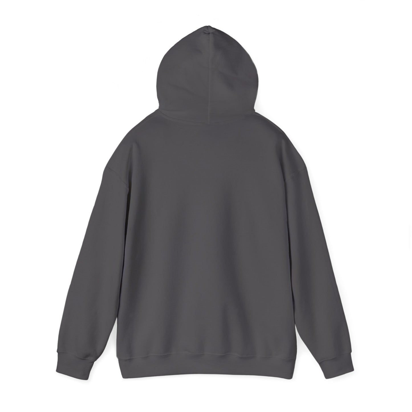 Colorful Heart Sister Love Graphic Unisex Hooded Sweatshirt - Perfect for Spring Celebrations