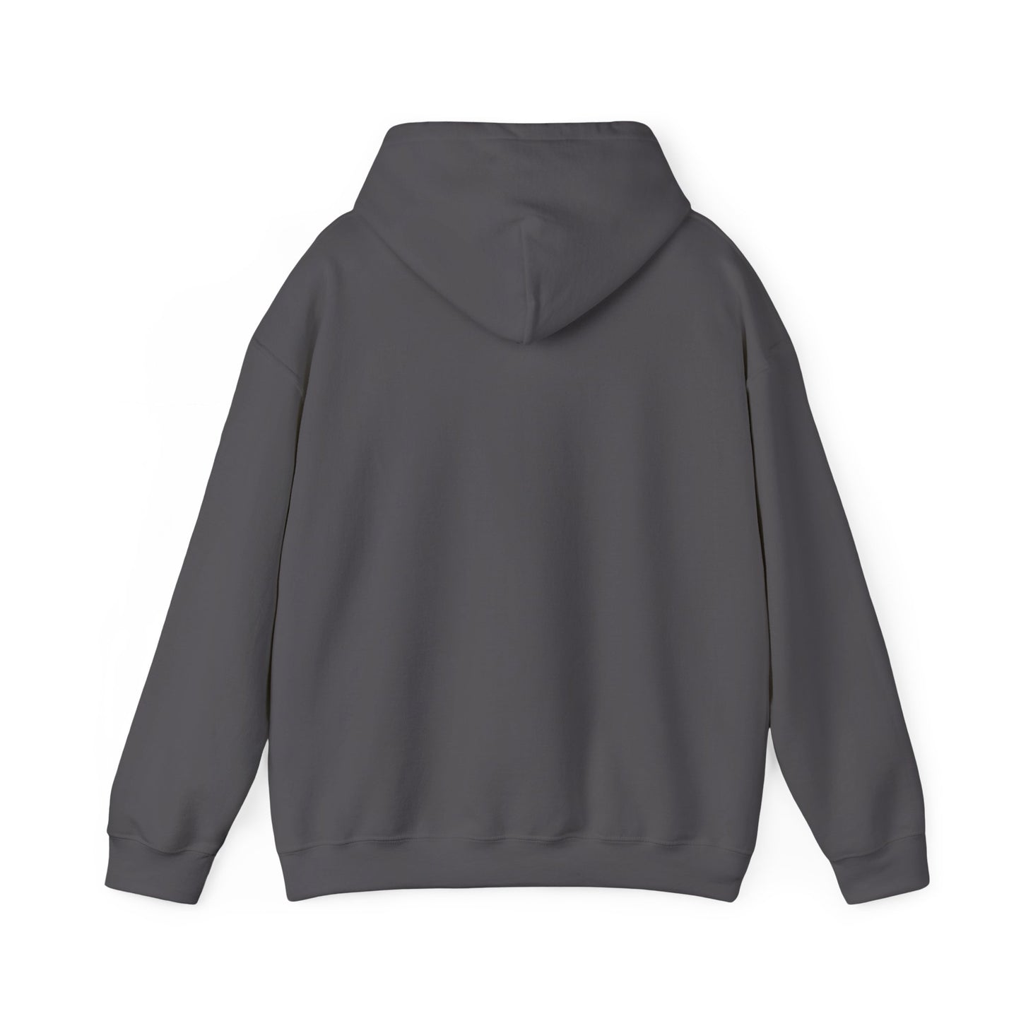 Colorful Heart Sister Love Graphic Unisex Hooded Sweatshirt - Perfect for Spring Celebrations
