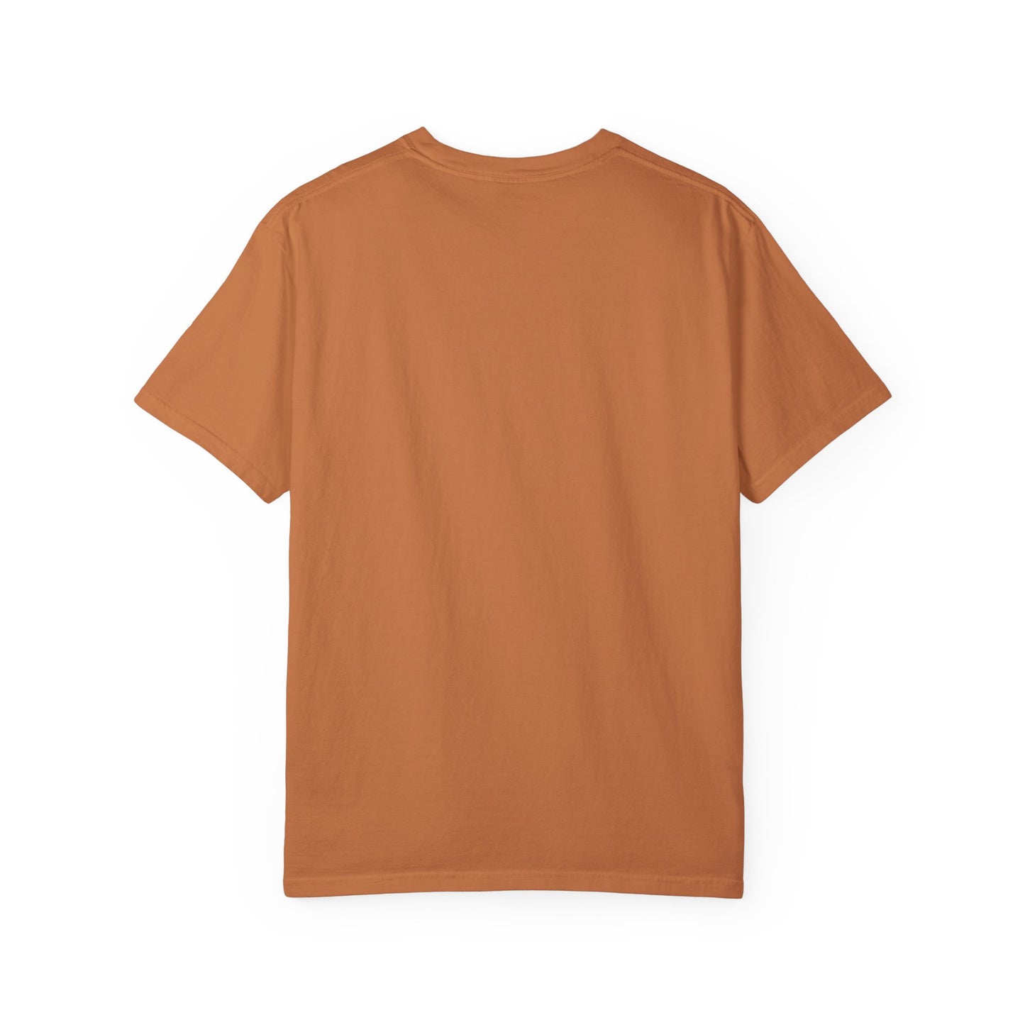Unisex Garment-Dyed T-Shirt - ‘Our History Can Never Be Taken’ African Heritage Tee