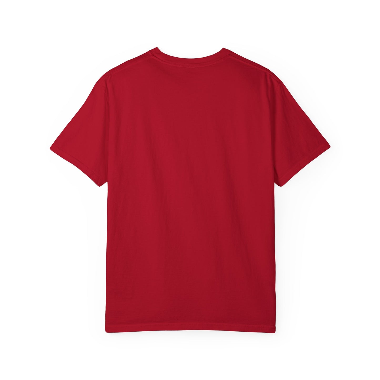 Unisex Garment-Dyed T-Shirt - ‘Our History Can Never Be Taken’ African Heritage Tee