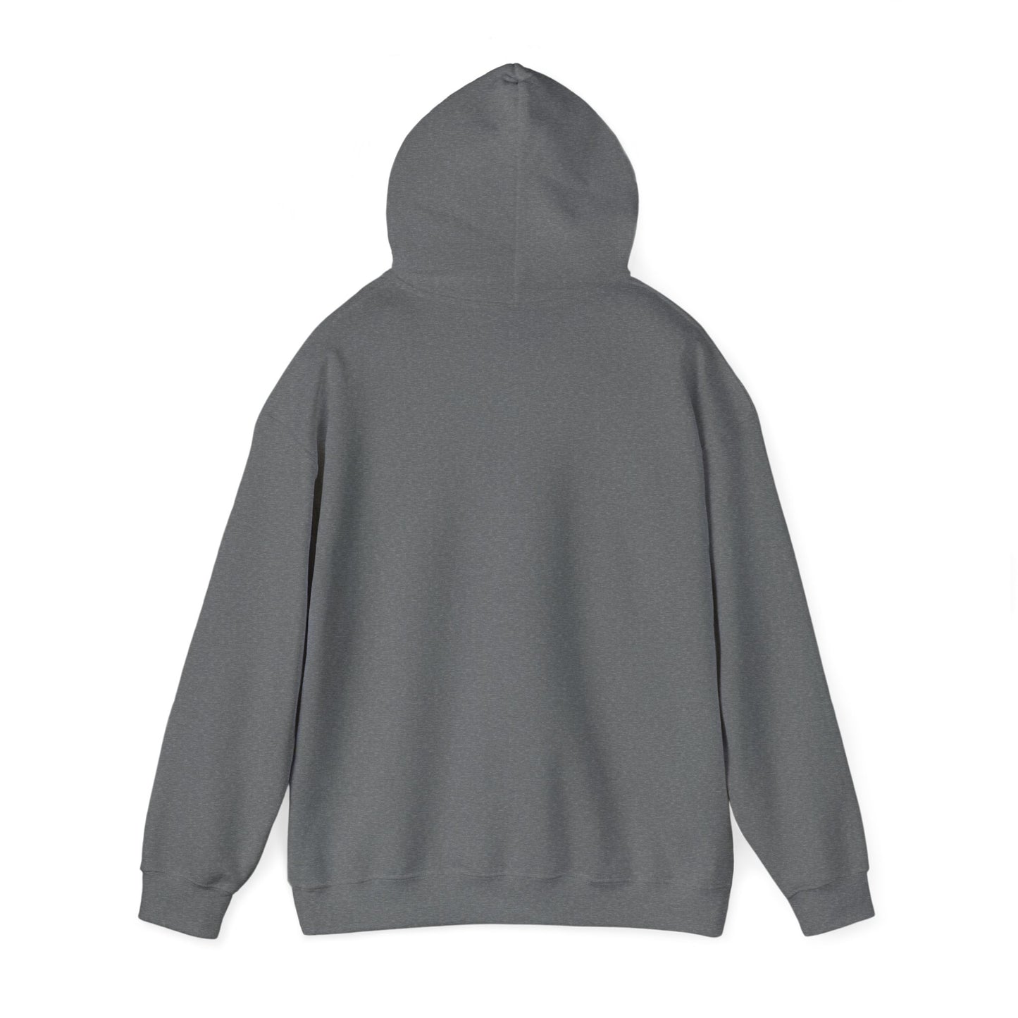 Colorful Heart Sister Love Graphic Unisex Hooded Sweatshirt - Perfect for Spring Celebrations