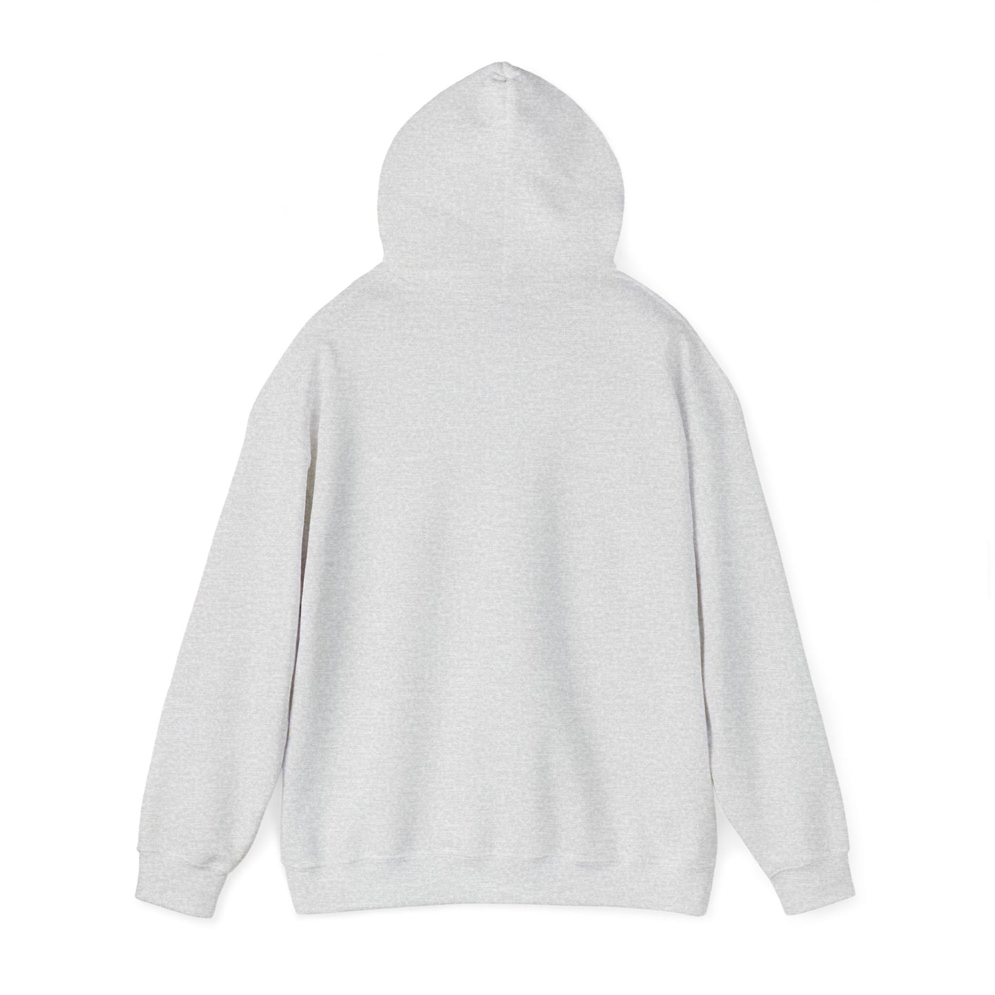 Sushi Lovers-Cute Panda Eating Noodles Unisex Hoodie – Cozy & Fun Design